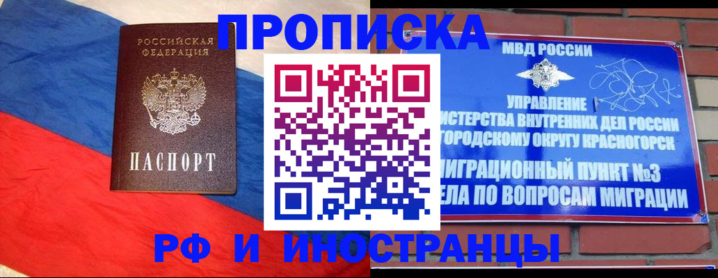 временная регистрация для всех в Дмитрове